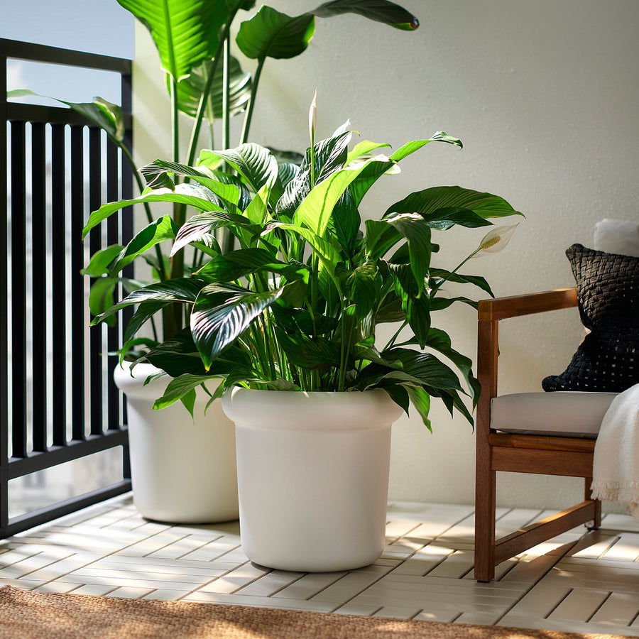 MÅBÄRSBUSKE plant pot, outdoor/off-white, 38 cm