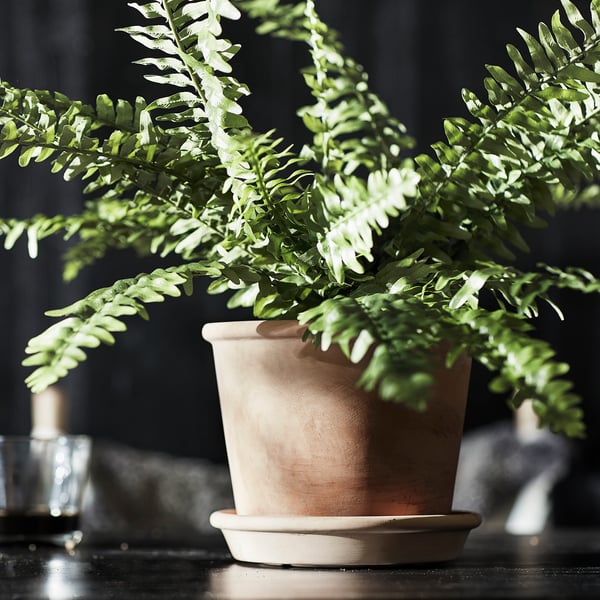 MUSKOTBLOMMA plant pot with saucer, in/outdoor terracotta, 15 cm