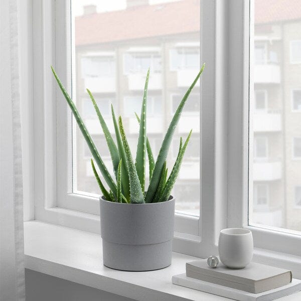 Ikea NYPON - Plant pot, in/outdoor grey, 15 cm
