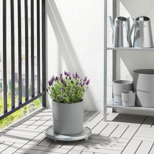 Ikea NYPON - Planter box, indoor/outdoor grey,19 cm