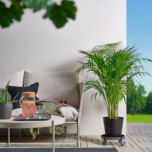 OLIVBLAD plant mover, in/outdoor dark grey, 32 cm