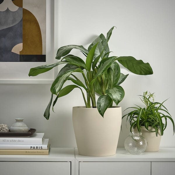 Ikea PERSILLADE - Plant pot, light beige, 19 cm