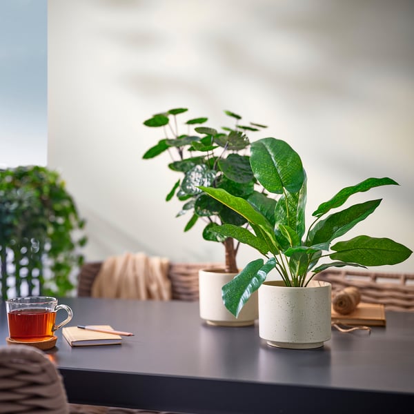 SANDKÖRSBÄR plant pot, in/outdoor/beige, 12 cm