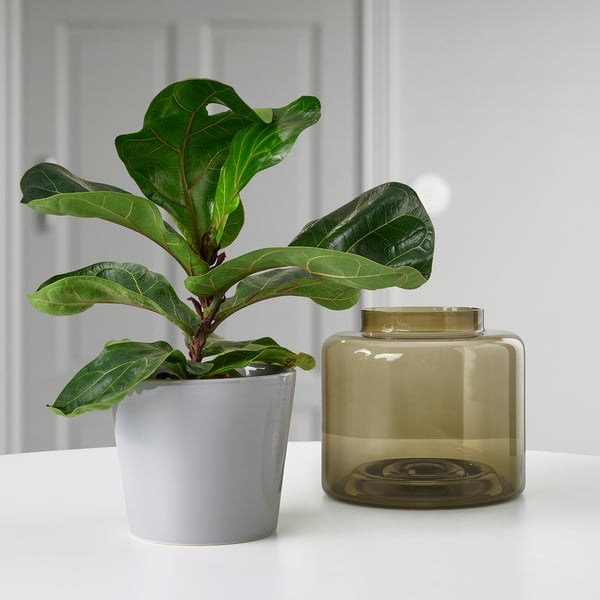 SKOGSVINBÄR plant pot, in/outdoor grey, 15 cm