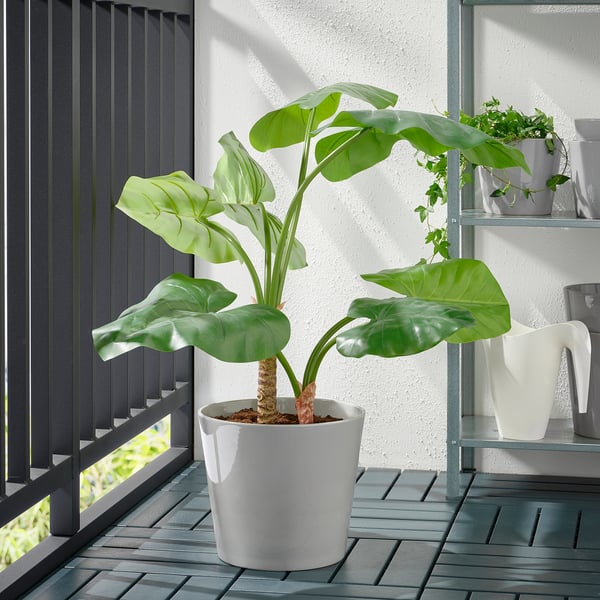 SKOGSVINBÄR plant pot, in/outdoor grey, 24 cm