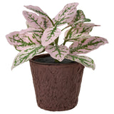 SMÅTÄRNA artificial potted plant, paper/mosaic plant, 6 cm