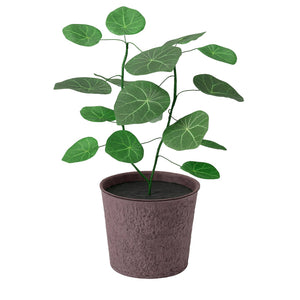 SMÅTÄRNA artificial potted plant, paper/Stephania, 12 cm
