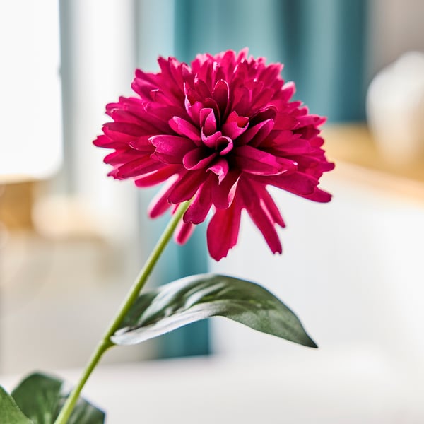 SMYCKA artificial flower, in/outdoor Chrysanthemums/dark pink, 55 cm