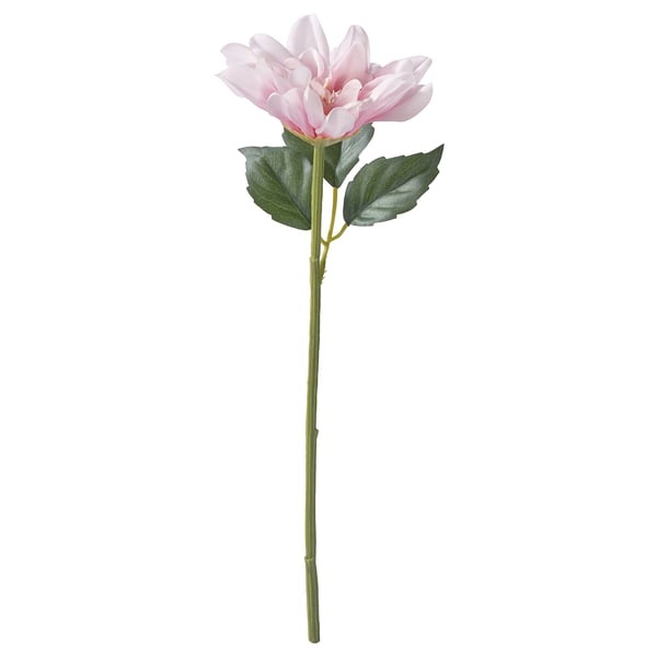 SMYCKA artificial flower, in/outdoor/Dahlia pink, 30 cm