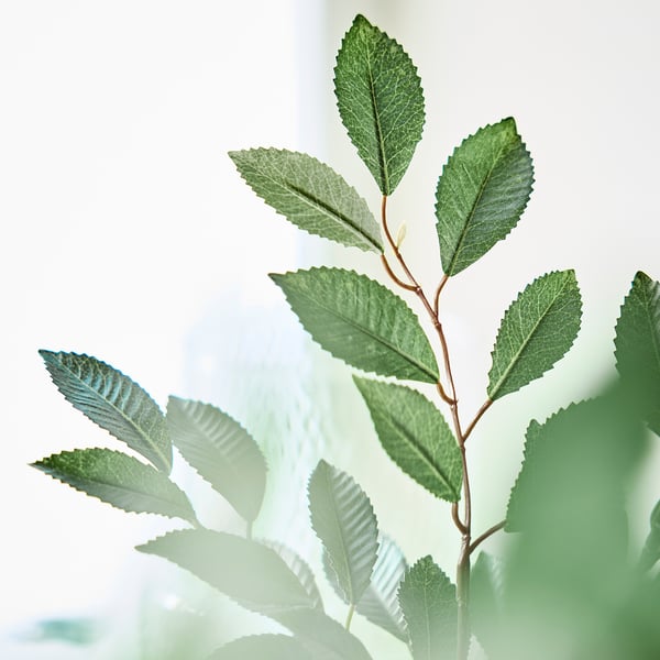 SMYCKA artificial flower, in/outdoor foliage/green, 67 cm