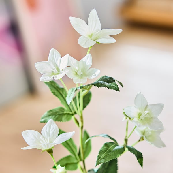SMYCKA artificial flower, in/outdoor Lisianthus/white, 60 cm