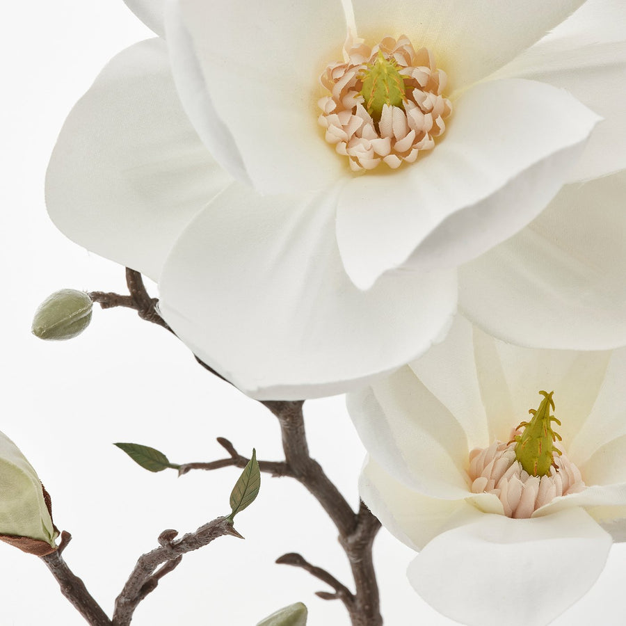 SMYCKA artificial flower, in/outdoor/magnolia white, 61 cm
