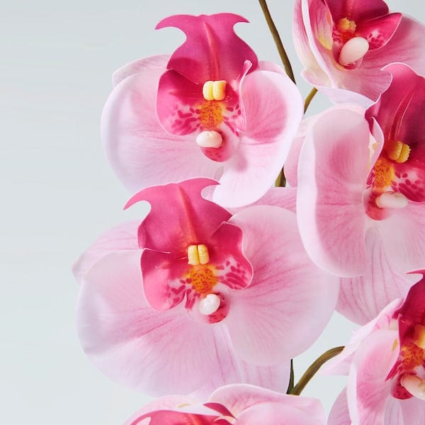 Ikea SMYCKA - Artificial flower, in/outdoor/Orchid pink, 60 cm