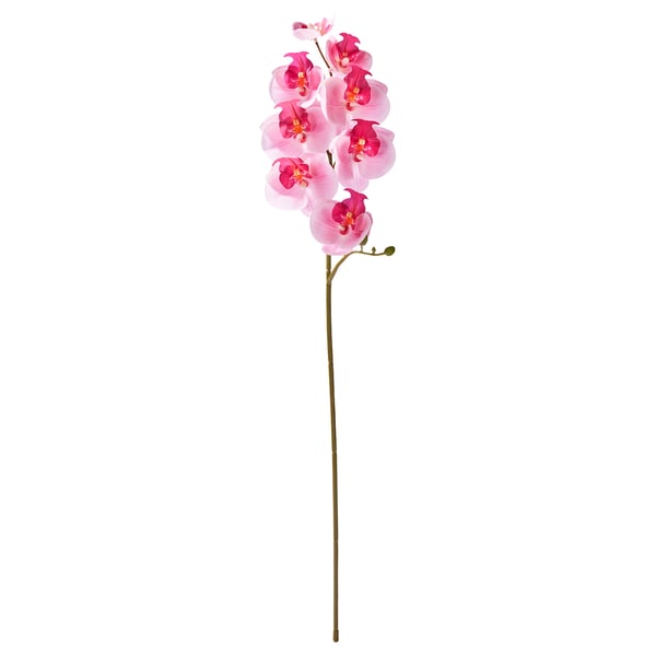SMYCKA artificial flower, in/outdoor/Orchid pink, 60 cm