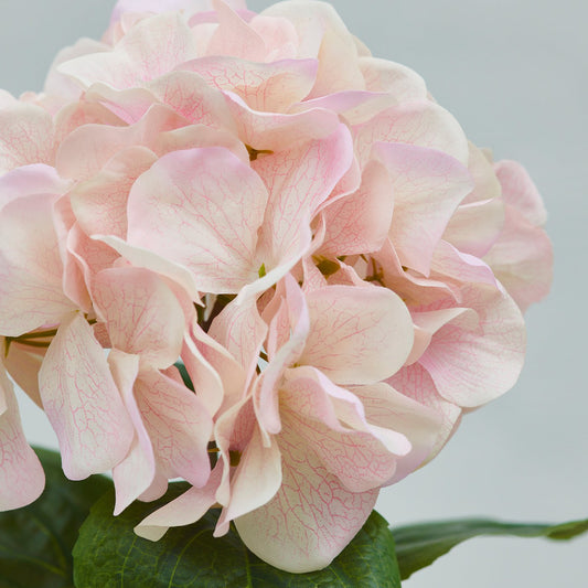SMYCKA artificial flower, in/outdoor/hydrangea pink, 55 cm