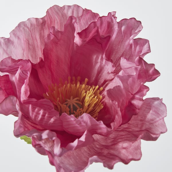 SMYCKA artificial flower, in/outdoor/Poppy pink