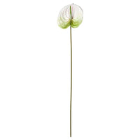 SMYCKA artificial flower, in/outdoor Flamingo plant/white, 66 cm