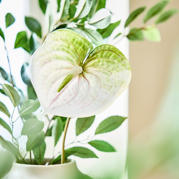 SMYCKA artificial flower, in/outdoor Flamingo plant/white, 66 cm