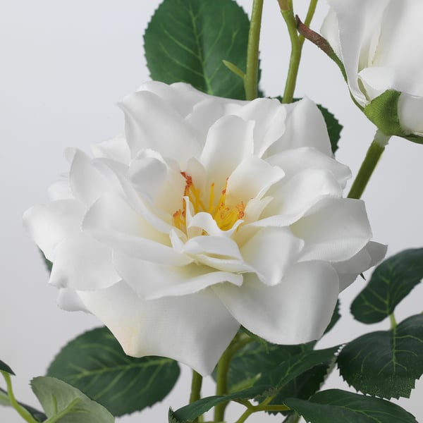 SMYCKA artificial flower, in/outdoor/Rose white, 65 cm