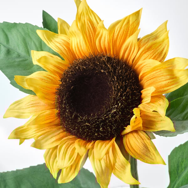 SMYCKA artificial flower, sunflower yellow, 51 cm