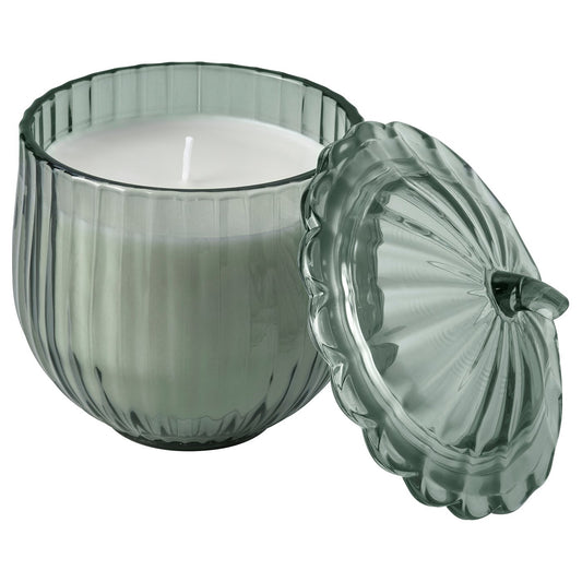 SNÖSISKA scented candle in glass with lid, Cinnamon and warm wood dark grey-green, 40 hr