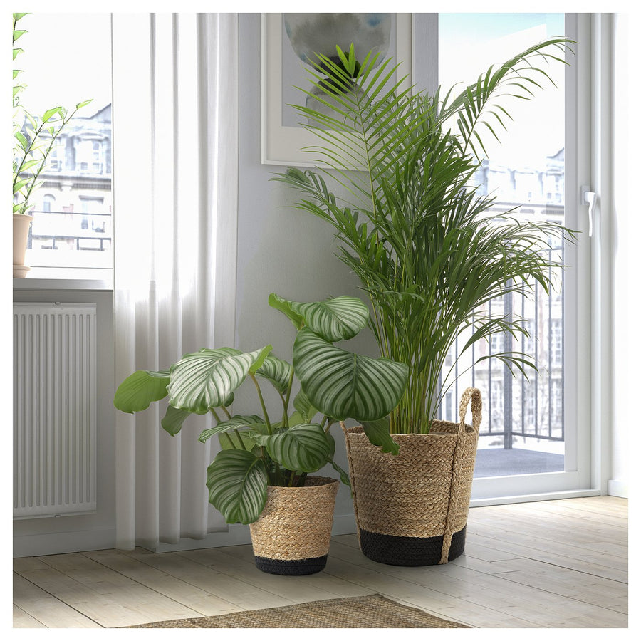 TÄRNMÅS plant pot, indoor/beige/black, 15 cm