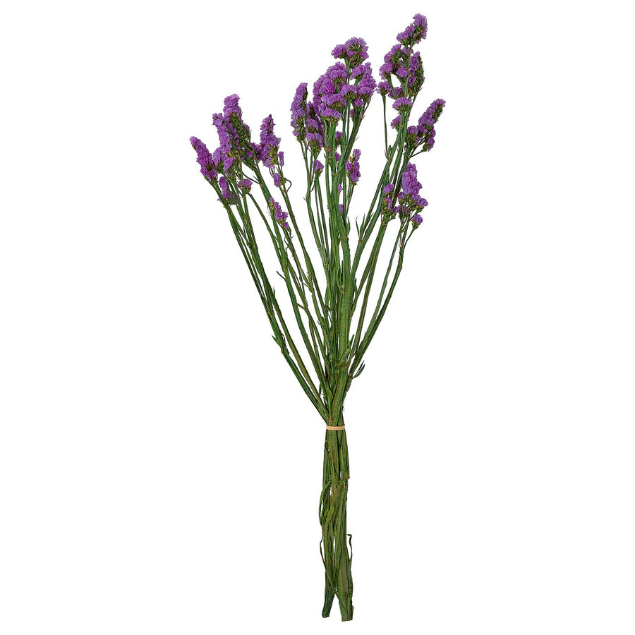 TORKA dried parts of flowers/plants, bunch/lilac, 70 cm