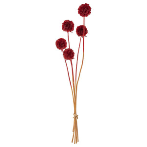 TORKA dried parts of flowers/plants, bunch/scabiosa red, 40 cm