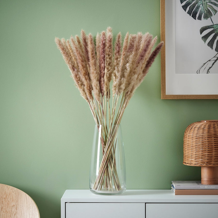 TORKA dried plants, bunch/reed, 70 cm