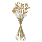 TORKA dried plants, bunch/natural, 60 cm