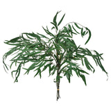 TORKA dried plants, bunch/green, 70 cm