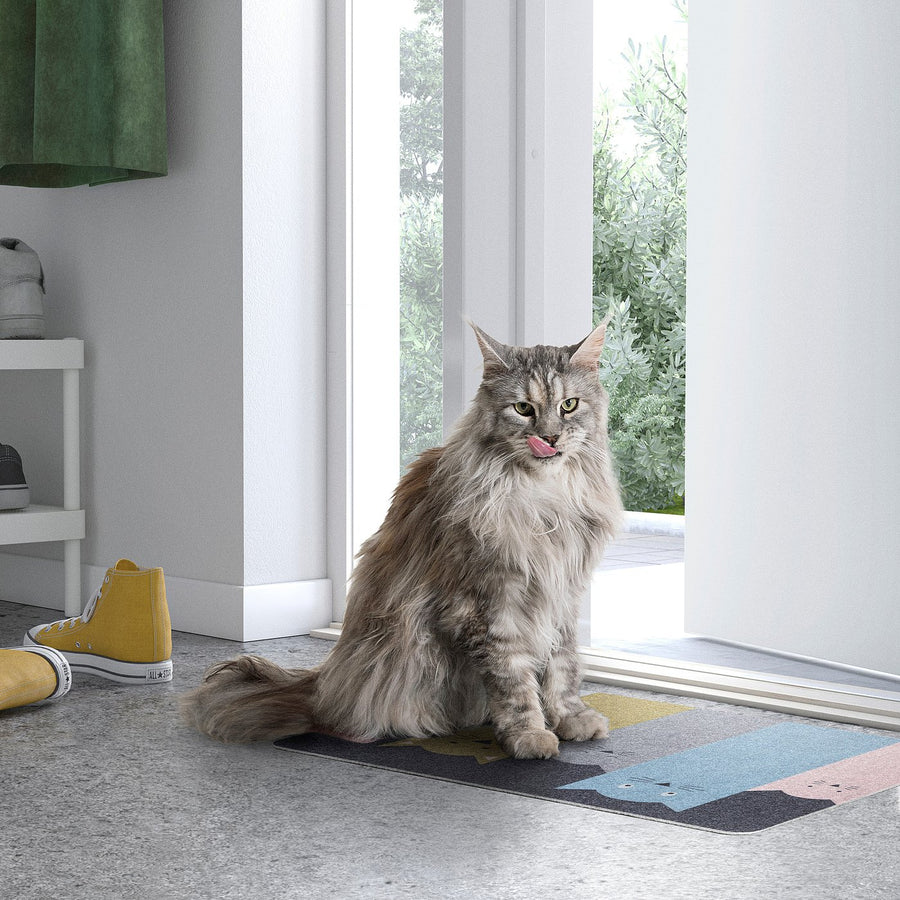 TURISTVÄG door mat, indoor, cat pattern, 40x60 cm
