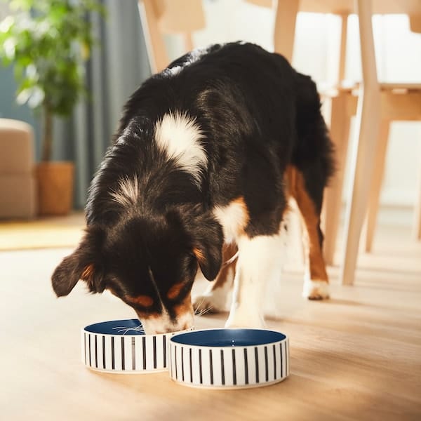 Ikea UTSÅDD - Pet bowl, stripe pattern black-blue/dark blue, 15 cm