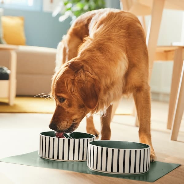 Ikea UTSÅDD - Pet bowl, stripe pattern black-blue/grey-green, 19 cm