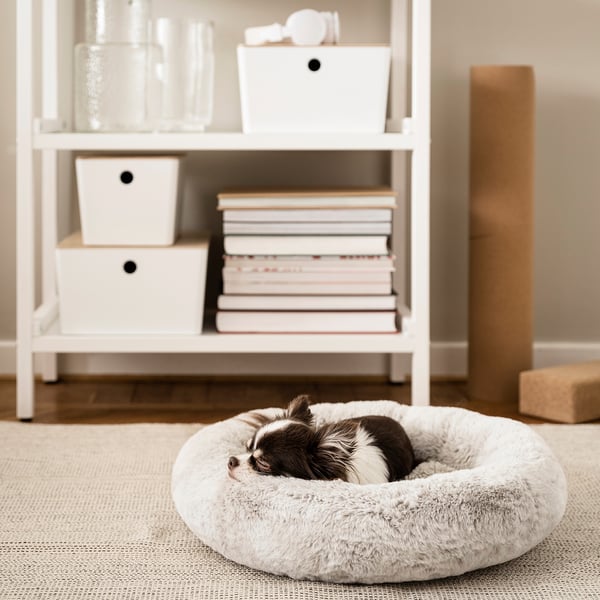 UTSÅDD pet bed, light grey, S