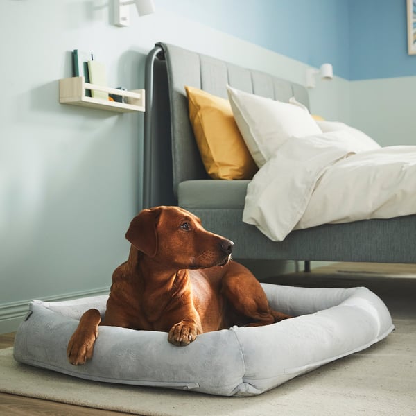 UTSÅDD dog bed, light grey, L