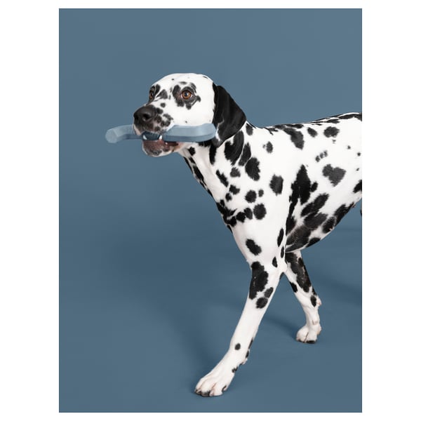 UTSÅDD dog toy, grey-blue