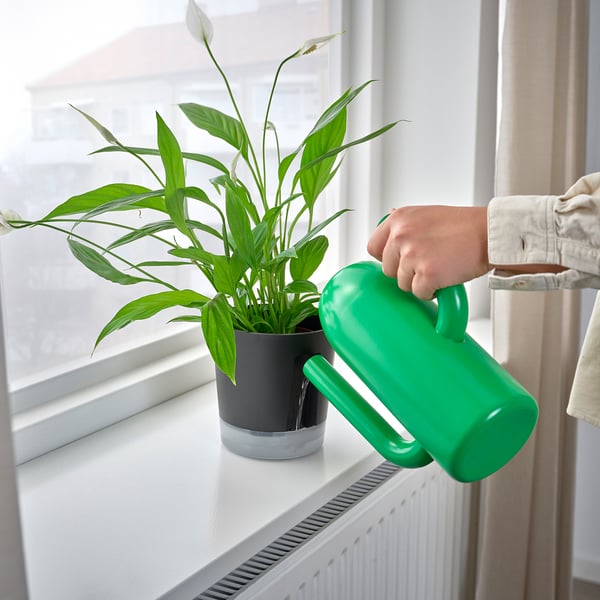 VÅRDTRÄD self-watering plant pot, in/outdoor transparent/anthracite, 12 cm