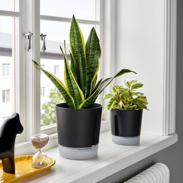 VÅRDTRÄD self-watering plant pot, in/outdoor transparent/anthracite, 15 cm