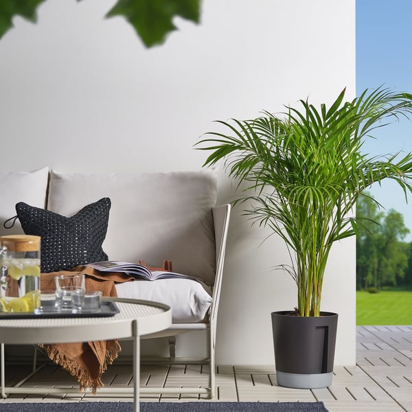 VÅRDTRÄD self-watering plant pot, in/outdoor transparent/anthracite, 24 cm