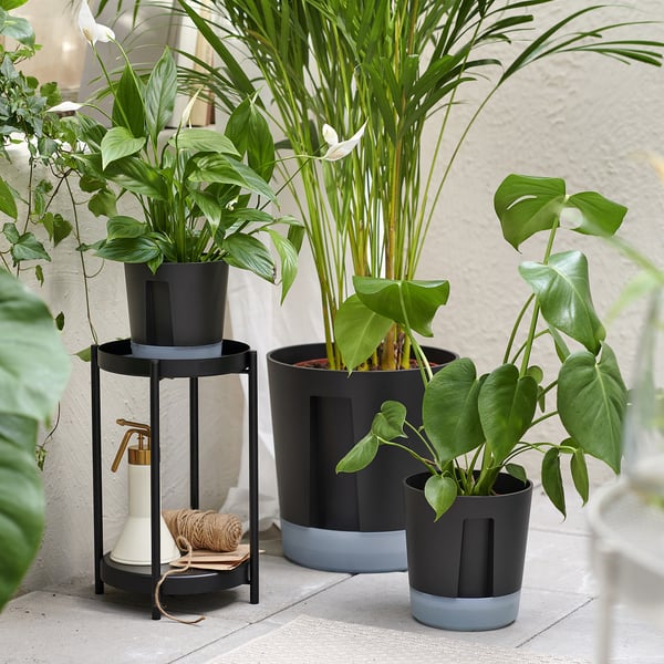 VÅRDTRÄD self-watering plant pot, in/outdoor transparent/anthracite, 15 cm
