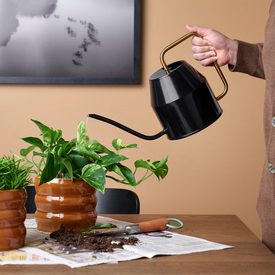 VATTENKRASSE watering can, black/gold-colour, 2.0 l