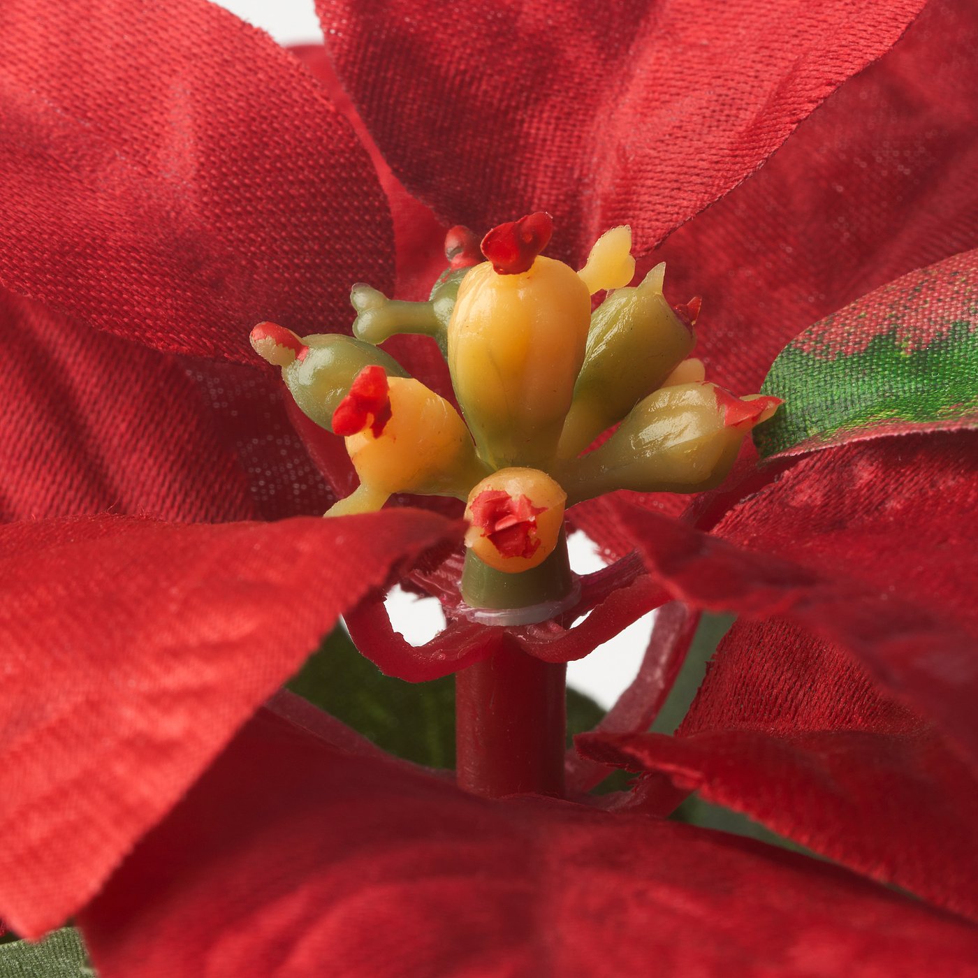 VINTERFINT artificial potted plant, in/outdoor Poinsettia/red, 6 cm