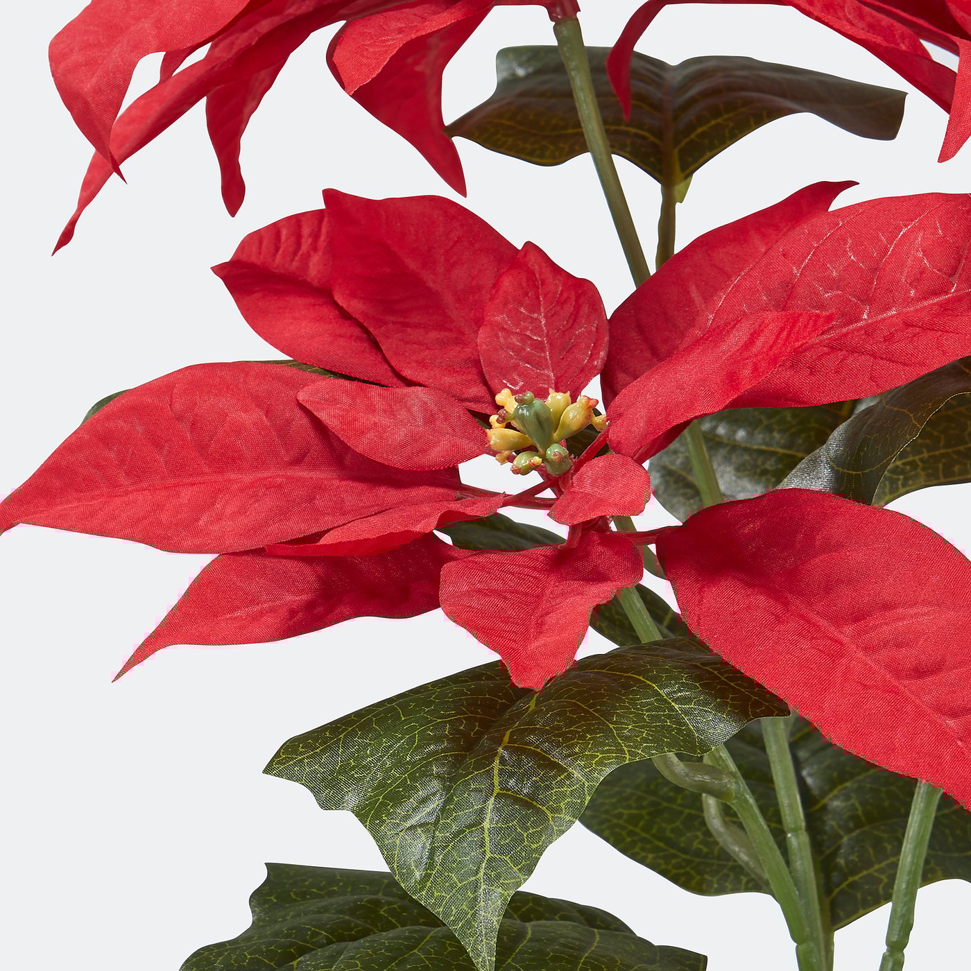 VINTERFINT artificial potted plant, in/outdoor Poinsettia/red, 12 cm