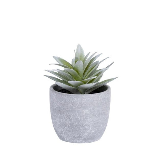 FLOCKY PLANT IN POT 4ASS - best price from Maltashopper.com CS661080