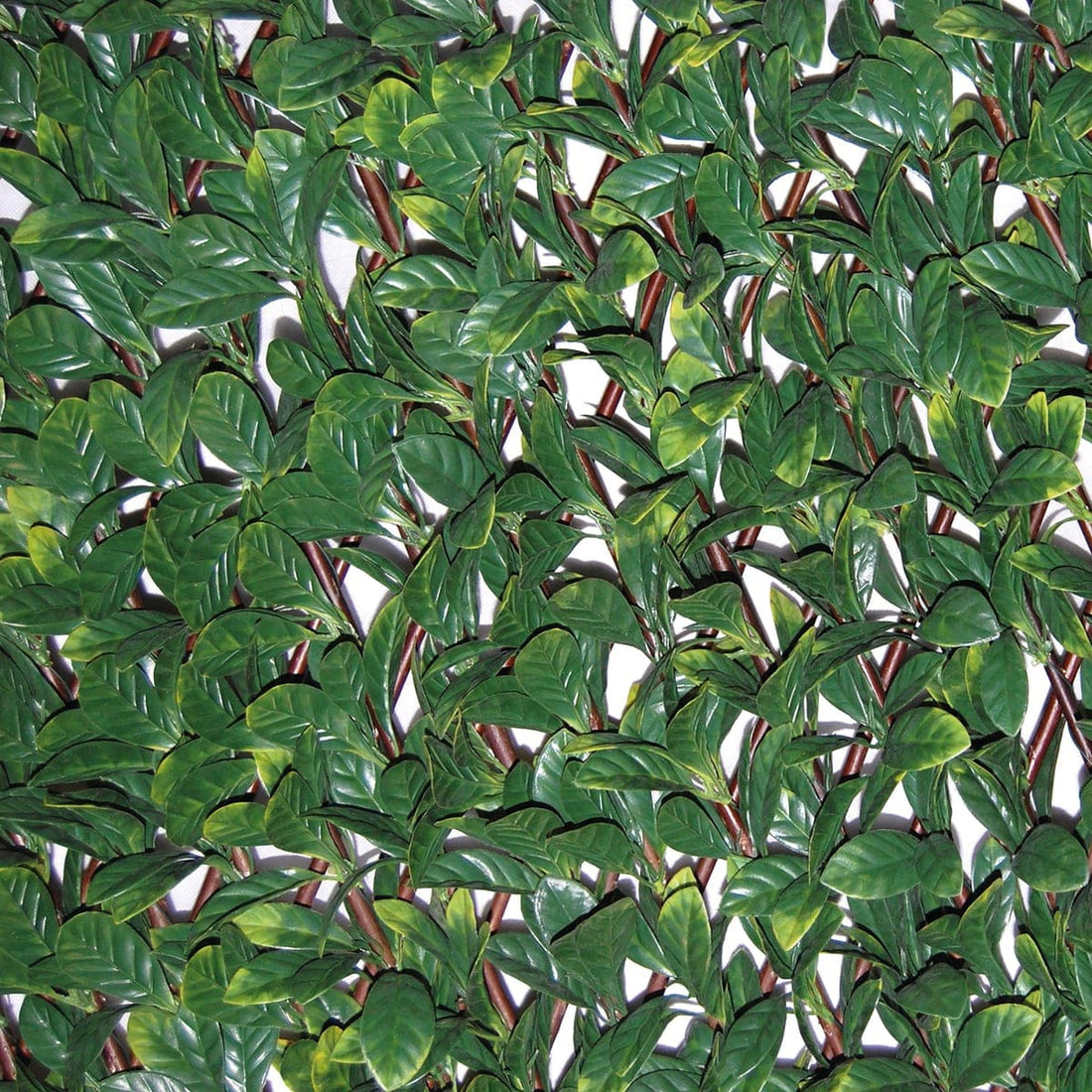 ARTIFICIAL HEDGE WITH TRELLIS NATERIAL DIVY 3D OSMANTHUS 1X2MT - best price from Maltashopper.com BR500013466