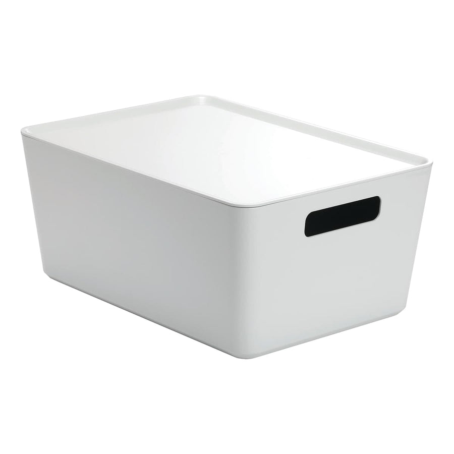Bricocenter CONTAINER WITH LID R-BOX1 MEDIUM WHITE 24X16X8 CM