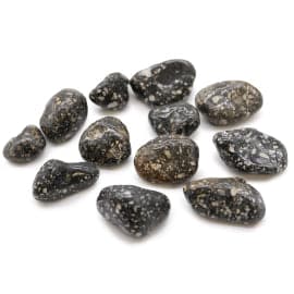 Medium African Tumble Stones - Guinea Fowl Medium - best price from Maltashopper.com ATUMBLEM-04