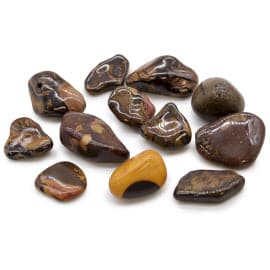 Medium African Tumble Stones - Picture Nguni - best price from Maltashopper.com ATUMBLEM-21
