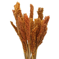 Cantal Grass Bunch - Orange - best price from Maltashopper.com CGB-03